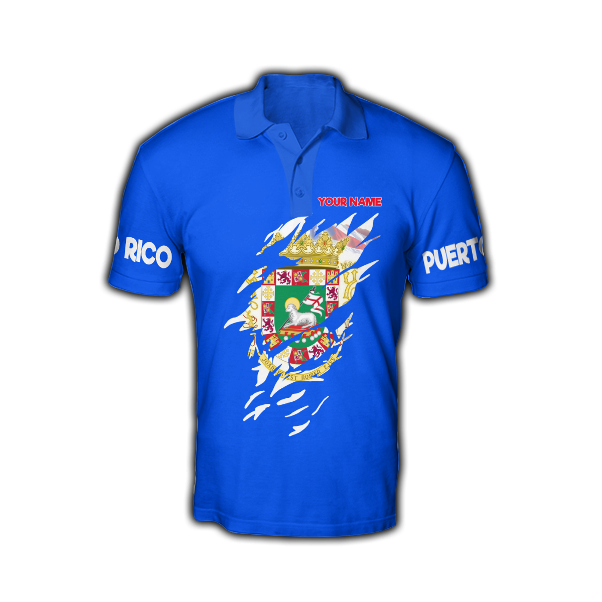 Customize Name Puerto Rico Hoodie For Men And Women MH19032102