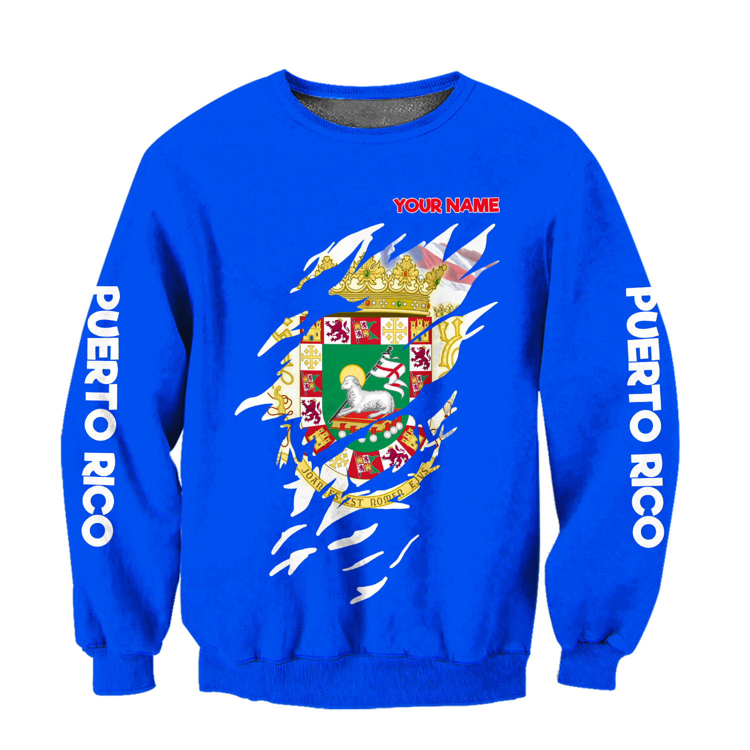 Customize Name Puerto Rico Hoodie For Men And Women MH19032102