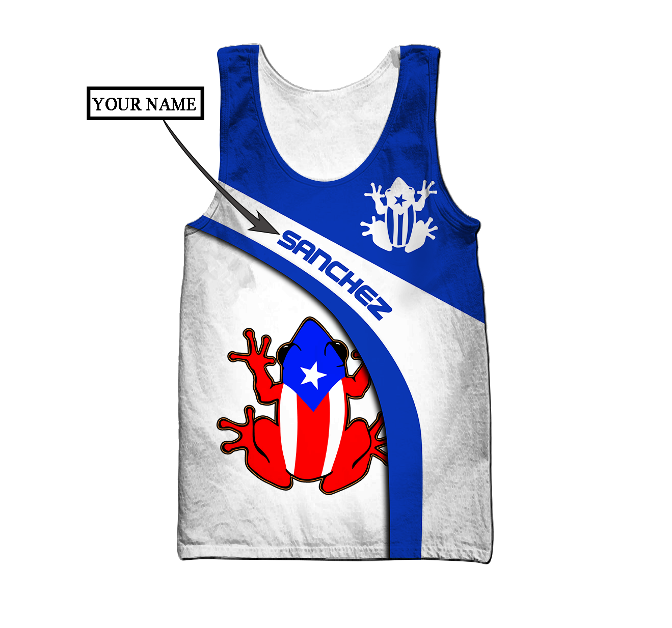 Customize Name Puerto Rico Shirts For Men And Women DD23012105