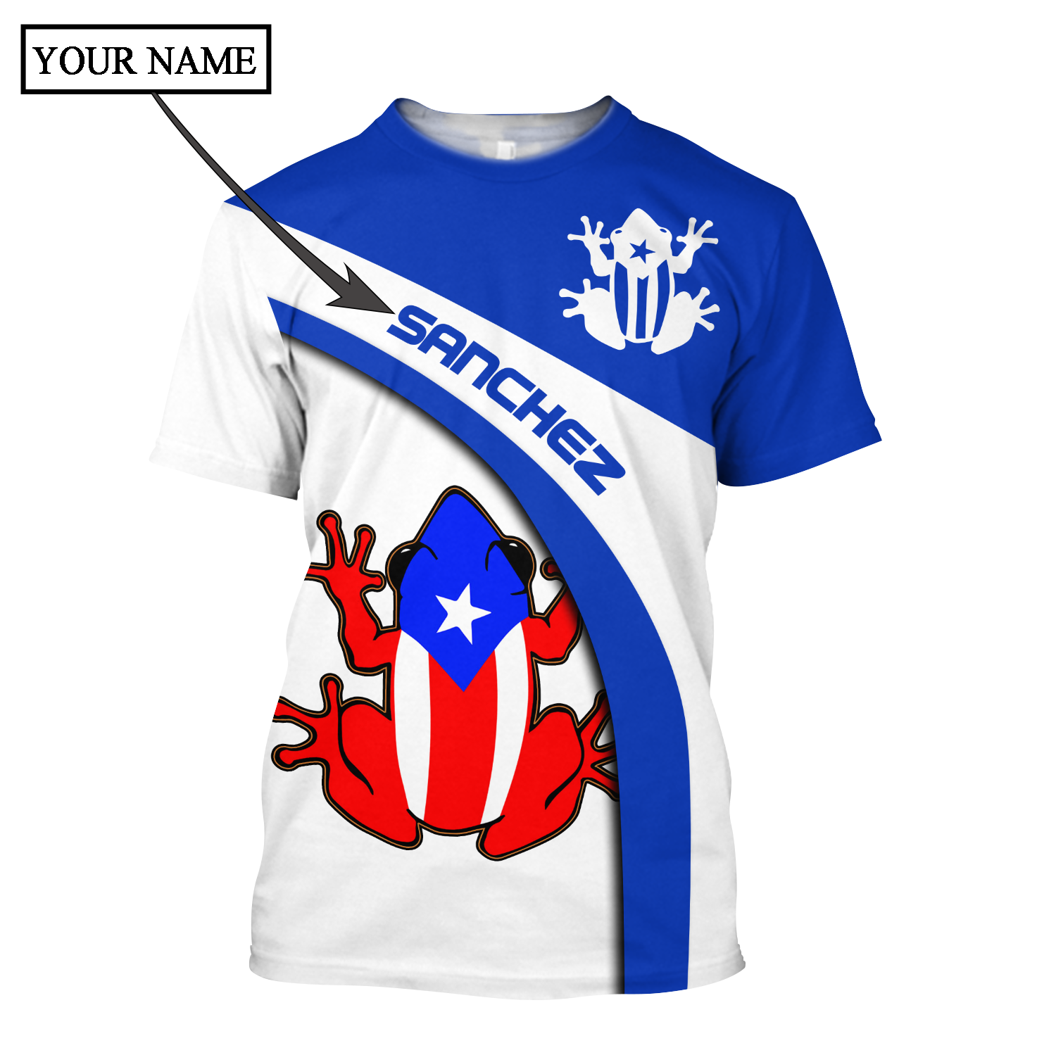 Customize Name Puerto Rico Shirts For Men And Women DD03022101A