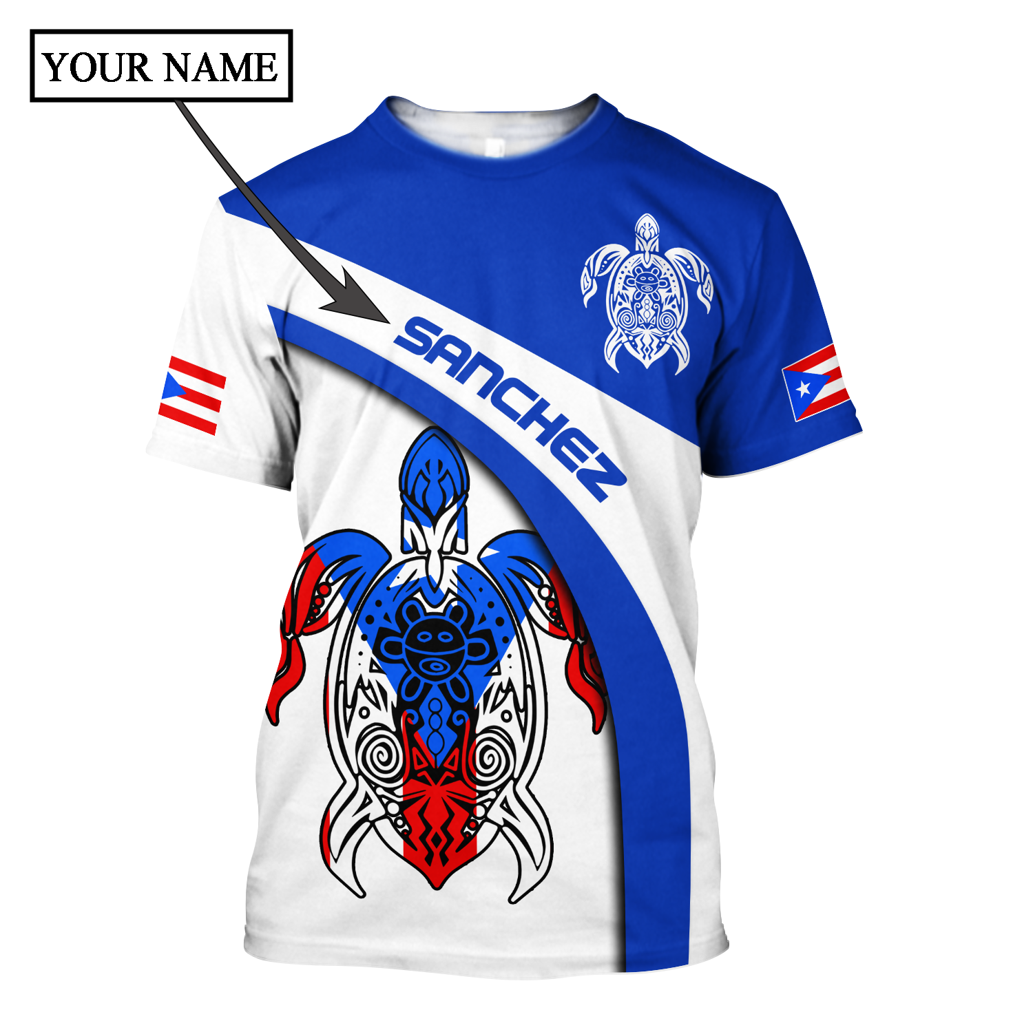 Customize Name Puerto Rico Shirts For Men And Women DD23012106