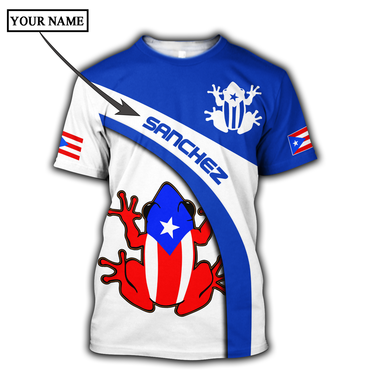 Customize Name Puerto Rico Shirts For Men And Women DD23012105