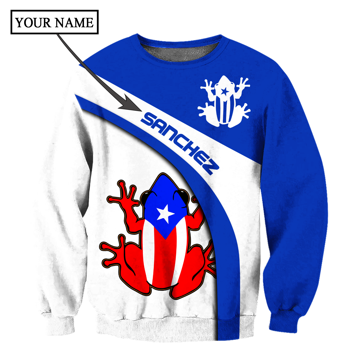 Customize Name Puerto Rico Shirts For Men And Women DD03022101A