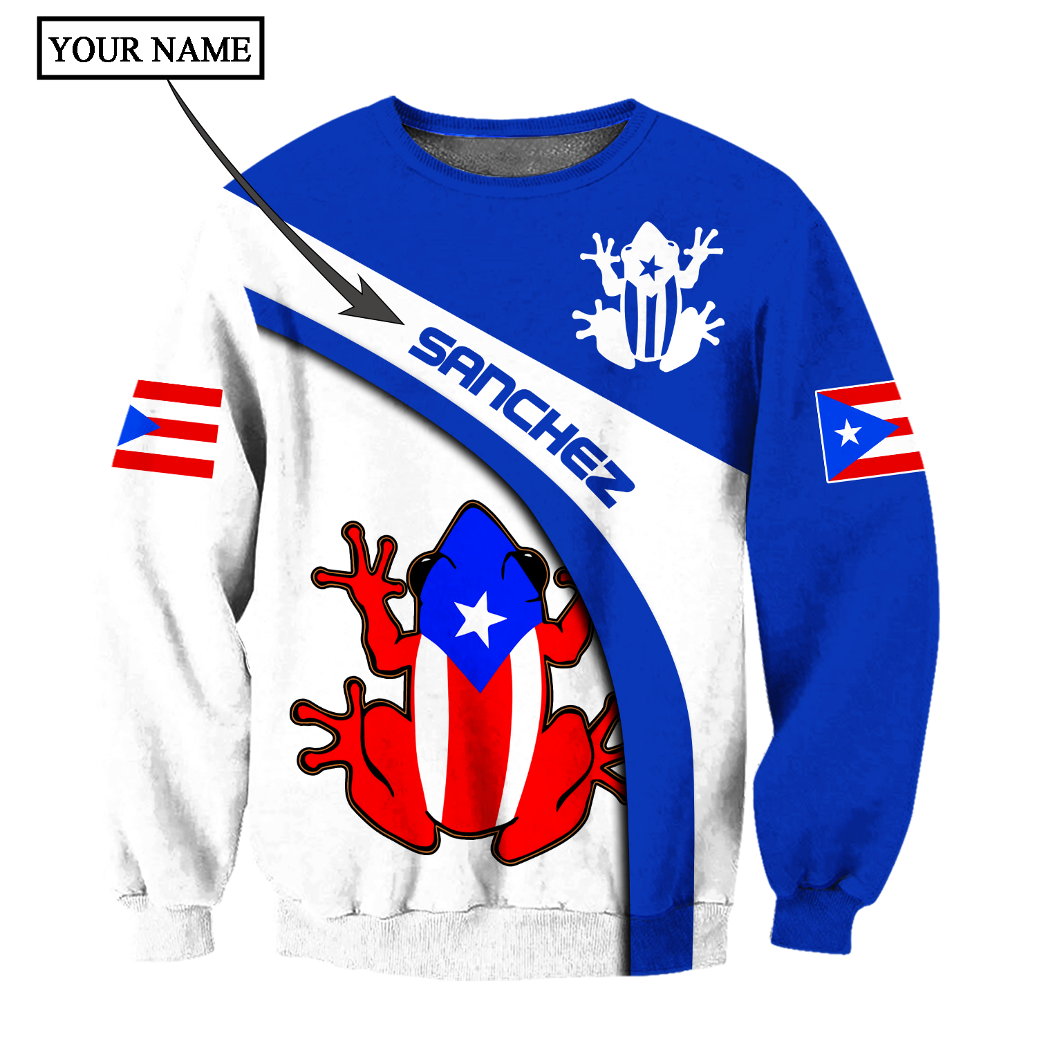 Customize Name Puerto Rico Shirts For Men And Women DD23012105