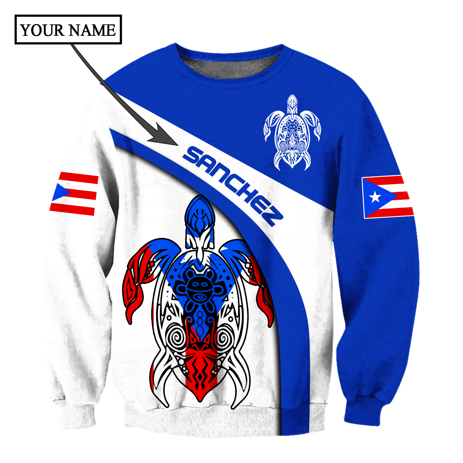 Customize Name Puerto Rico Shirts For Men And Women DD23012106