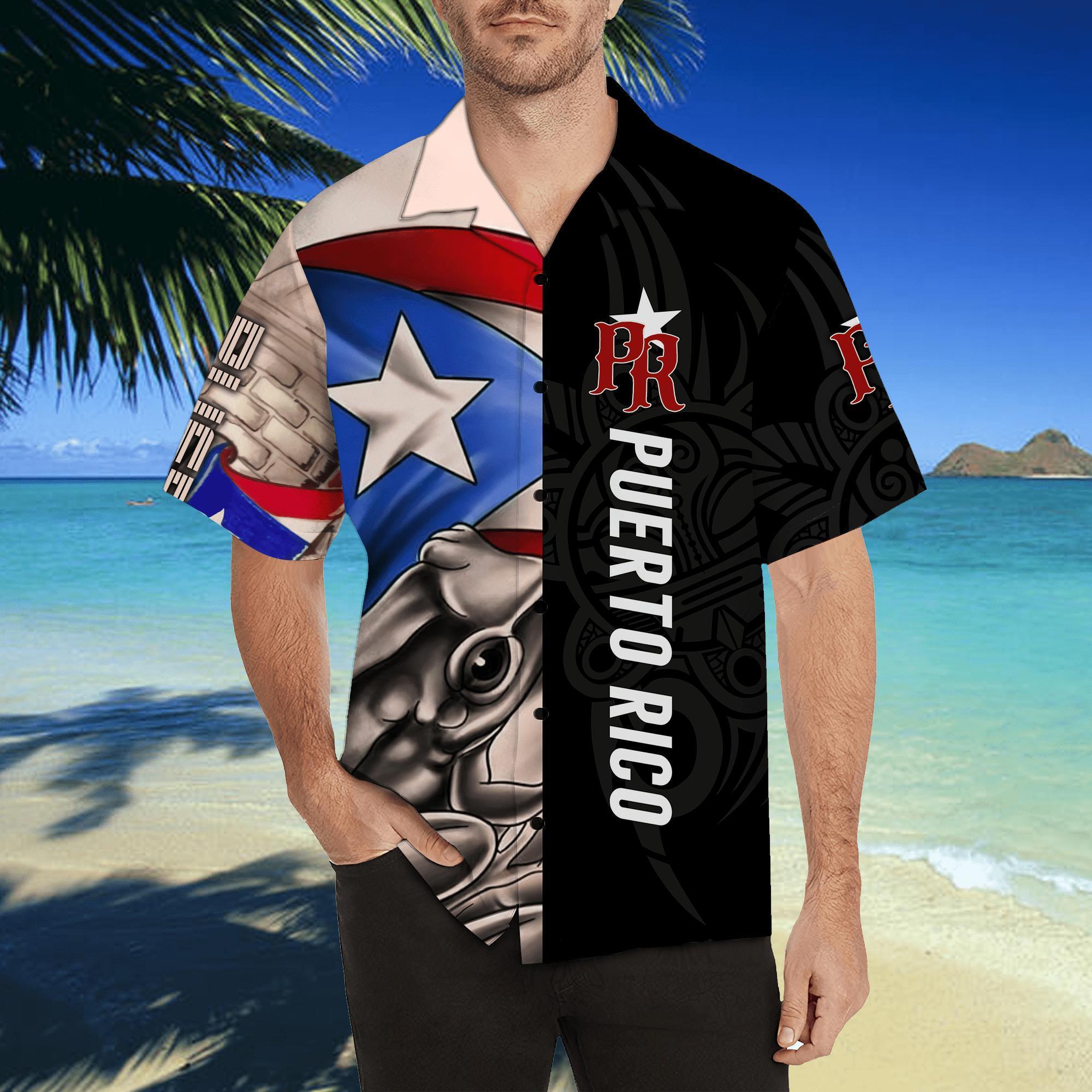 Puerto Rico Caribbean Frog Hawaii Shirts TH20061702